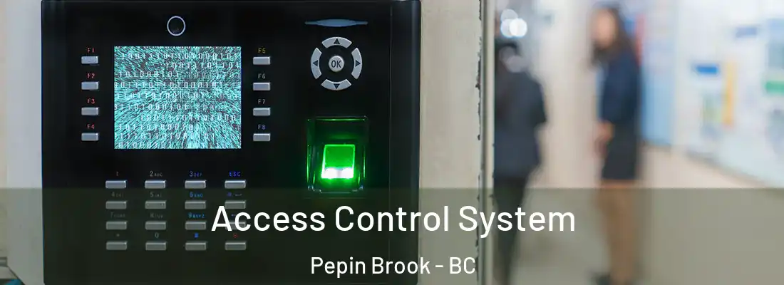  Access Control System Pepin Brook - BC