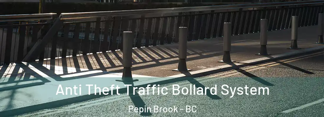  Anti Theft Traffic Bollard System Pepin Brook - BC
