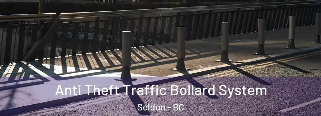  Anti Theft Traffic Bollard System Seldon - BC