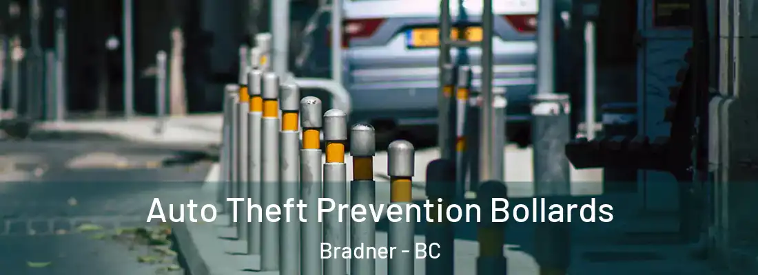  Auto Theft Prevention Bollards Bradner - BC