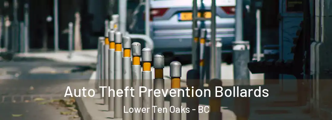  Auto Theft Prevention Bollards Lower Ten Oaks - BC