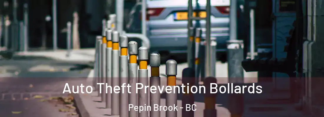  Auto Theft Prevention Bollards Pepin Brook - BC