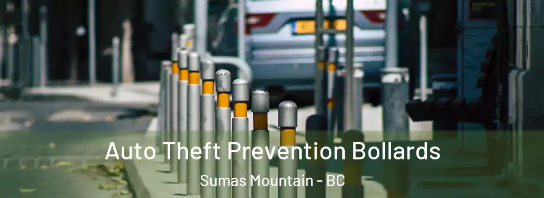  Auto Theft Prevention Bollards Sumas Mountain - BC