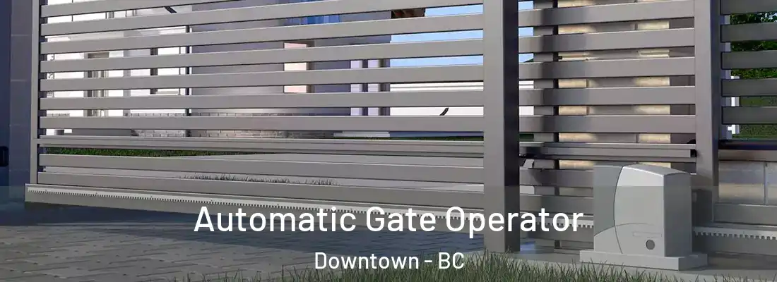  Automatic Gate Operator Downtown - BC