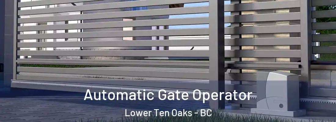 Automatic Gate Operator Lower Ten Oaks - BC