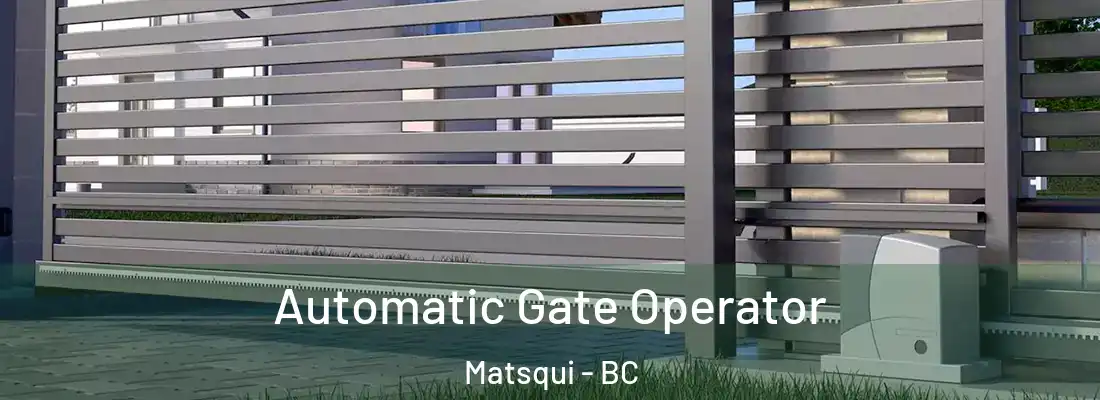  Automatic Gate Operator Matsqui - BC