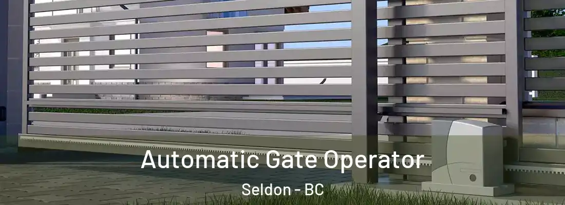  Automatic Gate Operator Seldon - BC