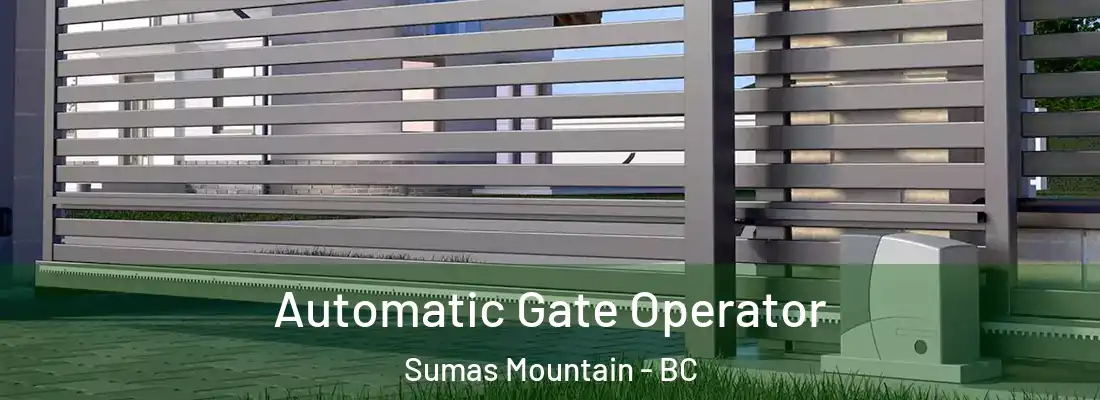  Automatic Gate Operator Sumas Mountain - BC