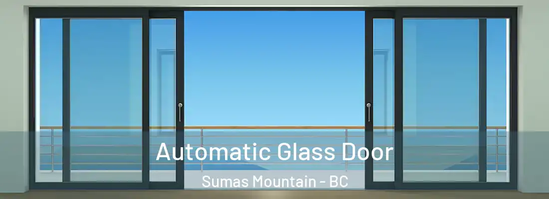  Automatic Glass Door Sumas Mountain - BC