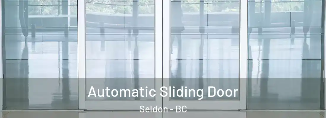  Automatic Sliding Door Seldon - BC