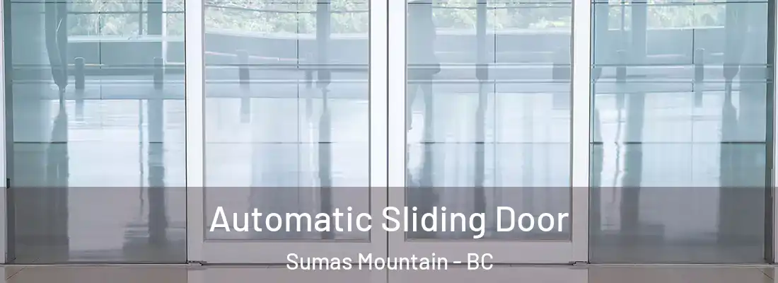  Automatic Sliding Door Sumas Mountain - BC