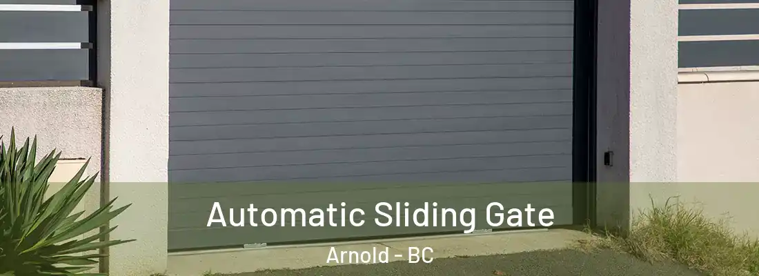  Automatic Sliding Gate Arnold - BC