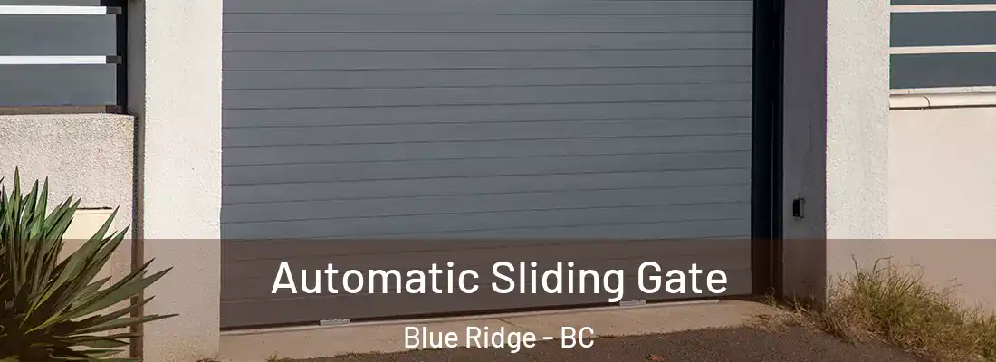  Automatic Sliding Gate Blue Ridge - BC