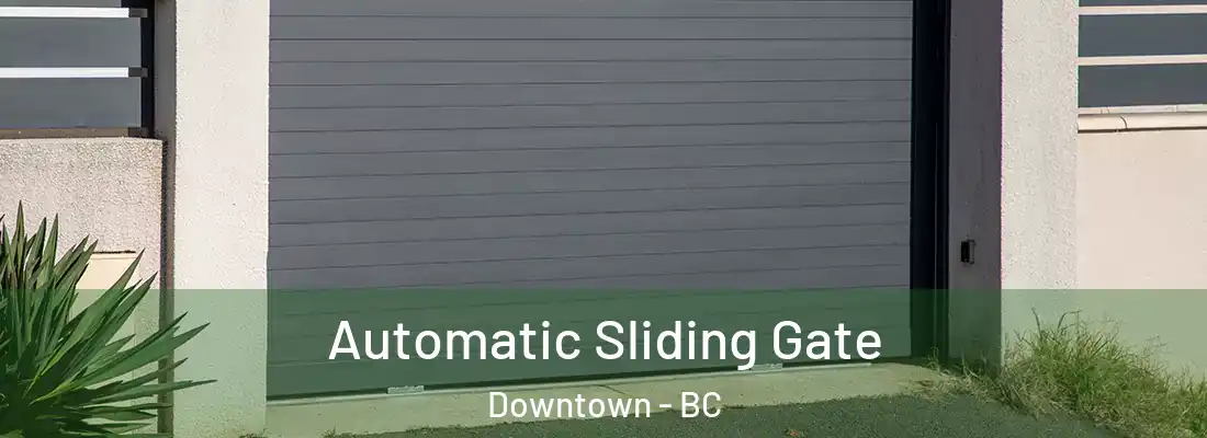  Automatic Sliding Gate Downtown - BC