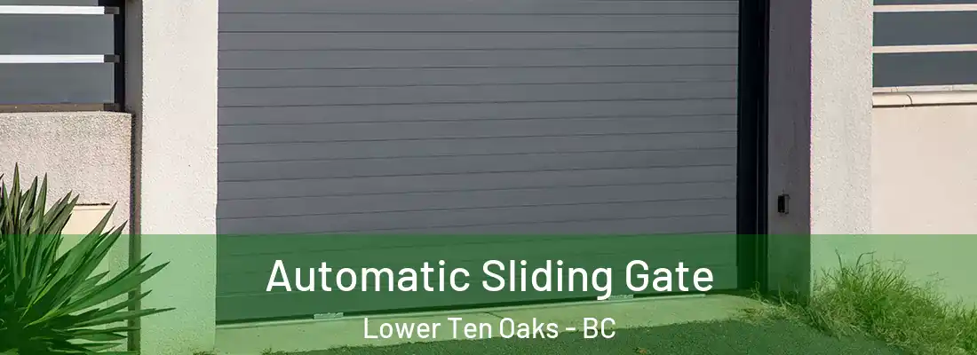  Automatic Sliding Gate Lower Ten Oaks - BC