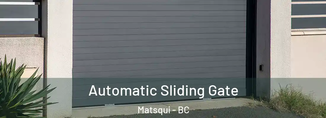  Automatic Sliding Gate Matsqui - BC