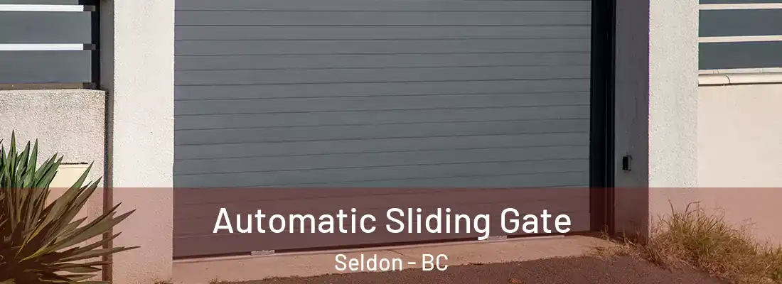  Automatic Sliding Gate Seldon - BC
