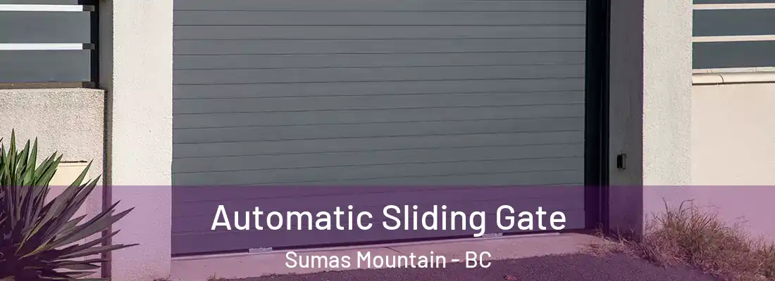  Automatic Sliding Gate Sumas Mountain - BC