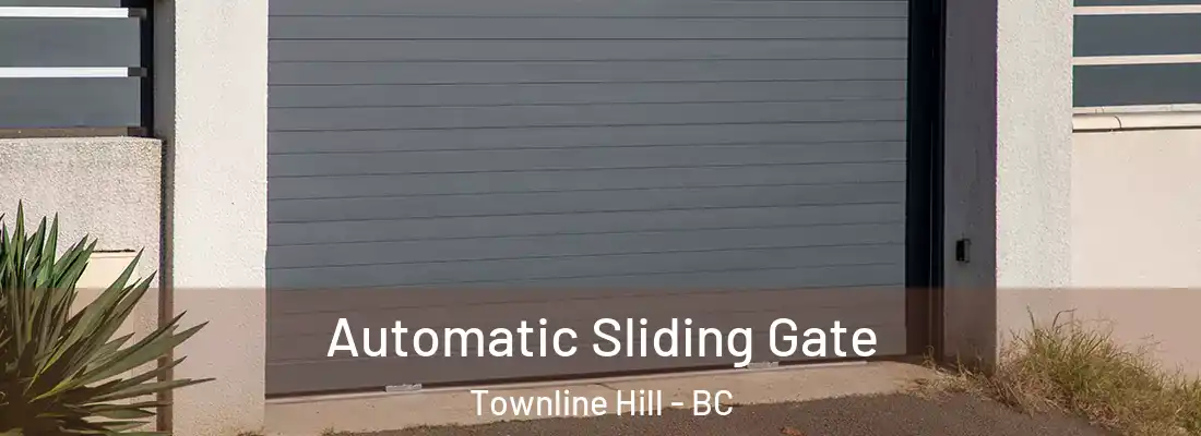  Automatic Sliding Gate Townline Hill - BC