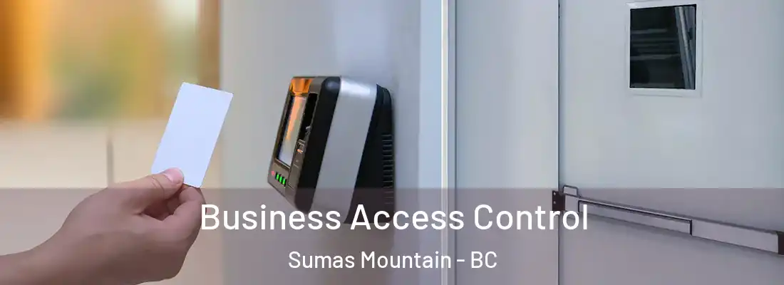  Business Access Control Sumas Mountain - BC