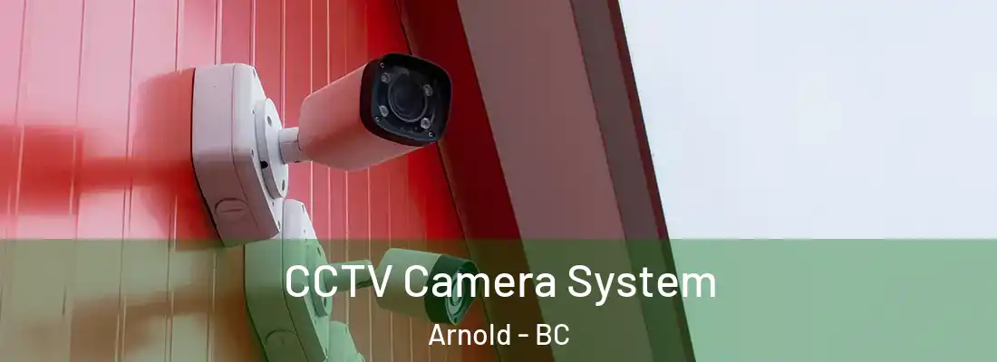  CCTV Camera System Arnold - BC