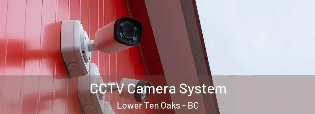  CCTV Camera System Lower Ten Oaks - BC