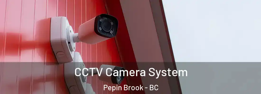  CCTV Camera System Pepin Brook - BC