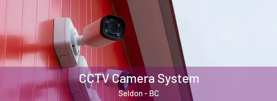  CCTV Camera System Seldon - BC