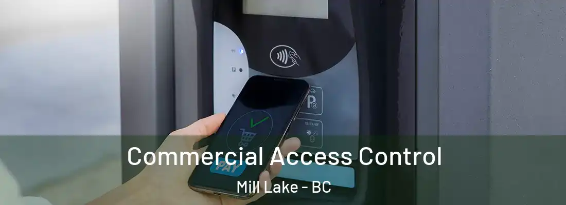  Commercial Access Control Mill Lake - BC