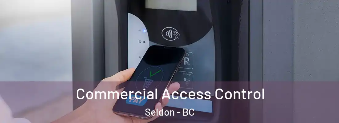 Commercial Access Control Seldon - BC