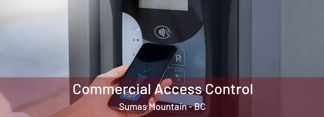  Commercial Access Control Sumas Mountain - BC
