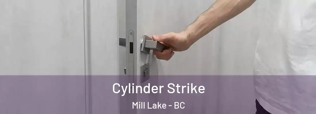  Cylinder Strike Mill Lake - BC