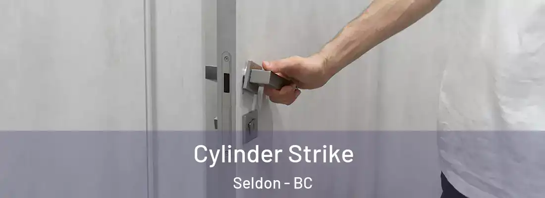  Cylinder Strike Seldon - BC