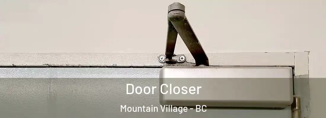  Door Closer Mountain Village - BC
