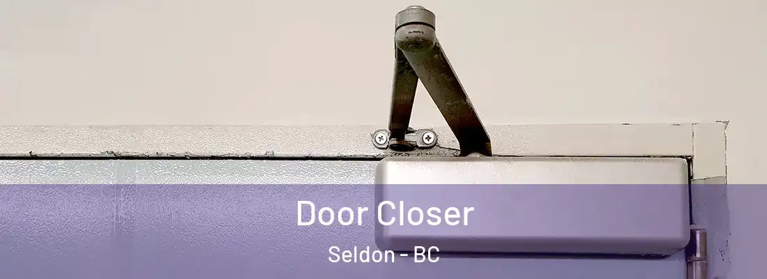  Door Closer Seldon - BC