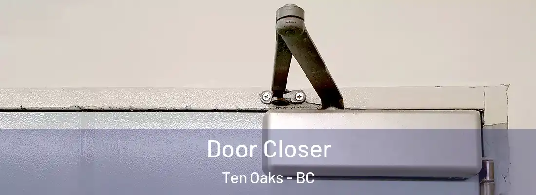  Door Closer Ten Oaks - BC