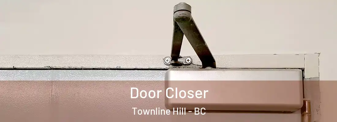  Door Closer Townline Hill - BC