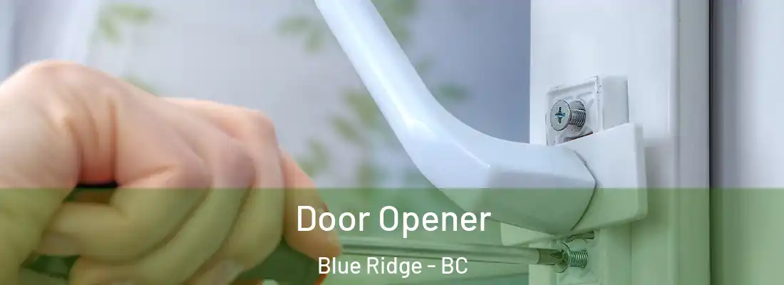  Door Opener Blue Ridge - BC