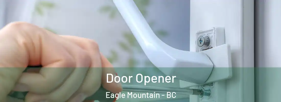  Door Opener Eagle Mountain - BC