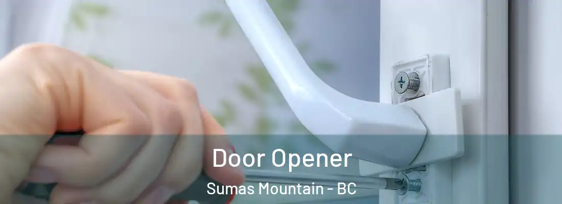  Door Opener Sumas Mountain - BC