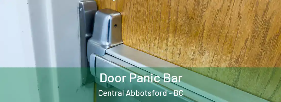  Door Panic Bar Central Abbotsford - BC