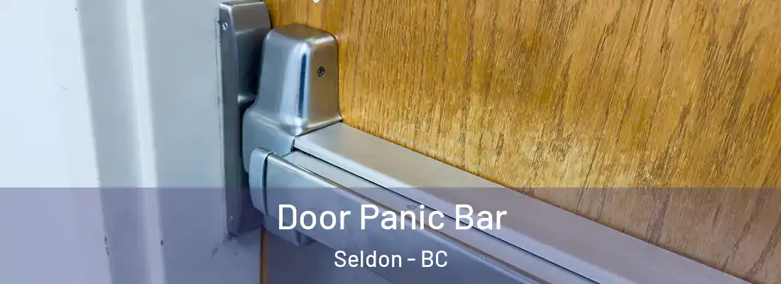  Door Panic Bar Seldon - BC
