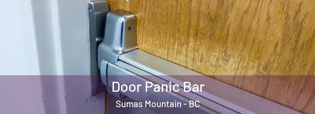  Door Panic Bar Sumas Mountain - BC
