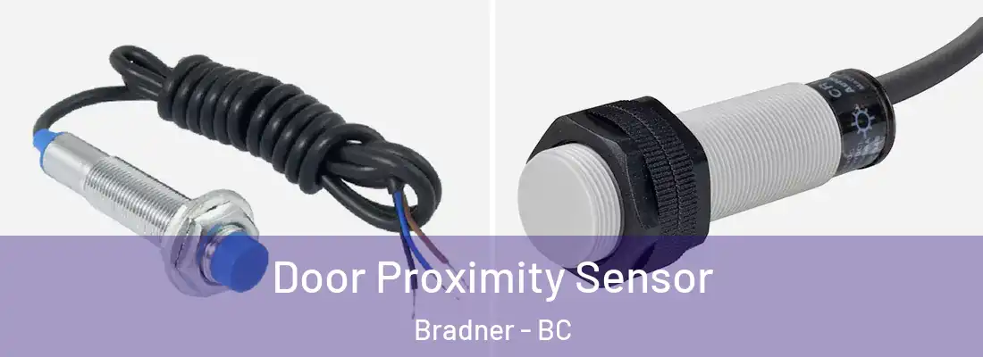  Door Proximity Sensor Bradner - BC