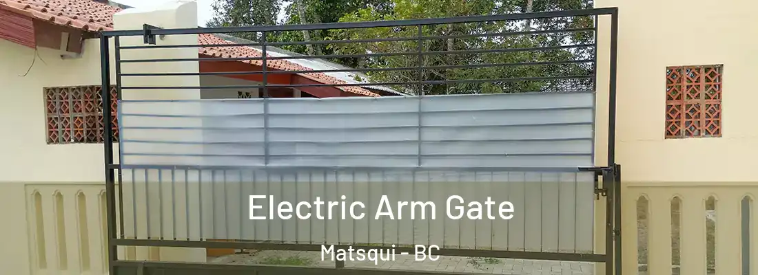  Electric Arm Gate Matsqui - BC