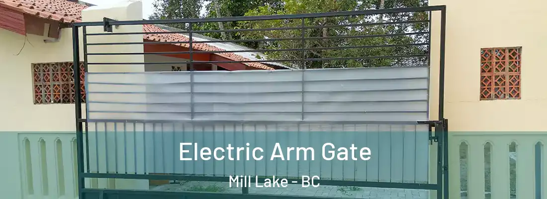  Electric Arm Gate Mill Lake - BC