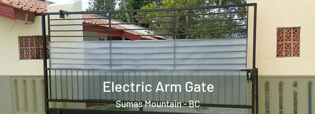  Electric Arm Gate Sumas Mountain - BC