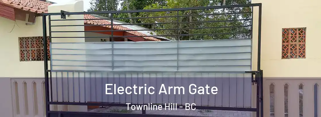  Electric Arm Gate Townline Hill - BC