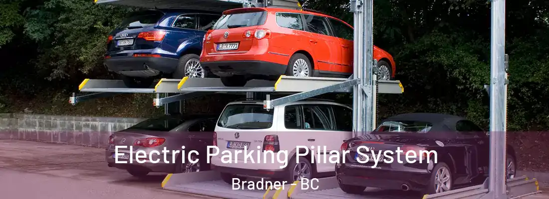 Electric Parking Pillar System Bradner - BC