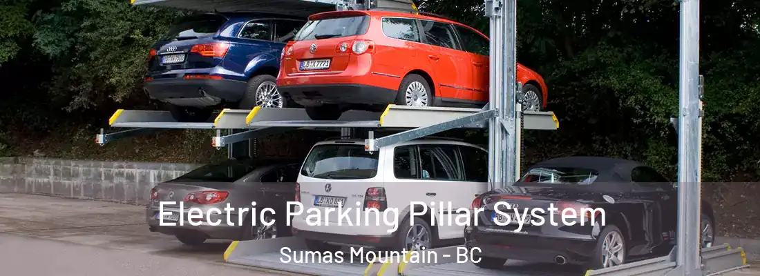  Electric Parking Pillar System Sumas Mountain - BC